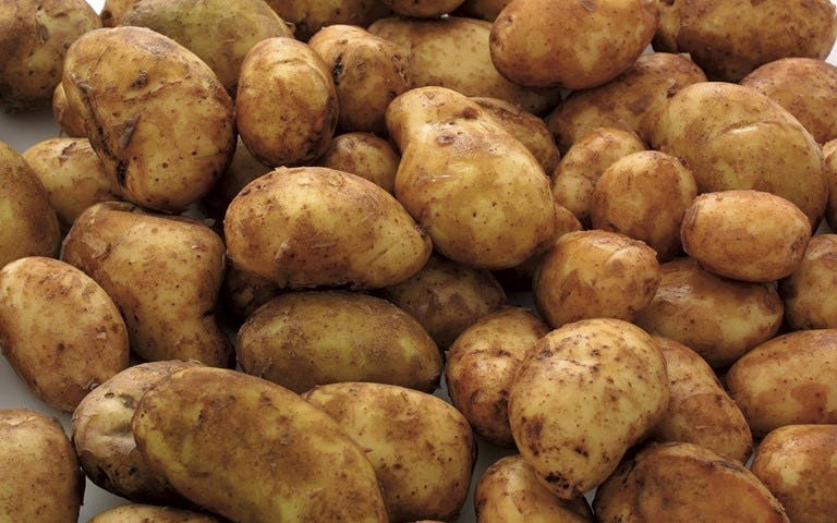 Agri Minister urges tax on potato imports