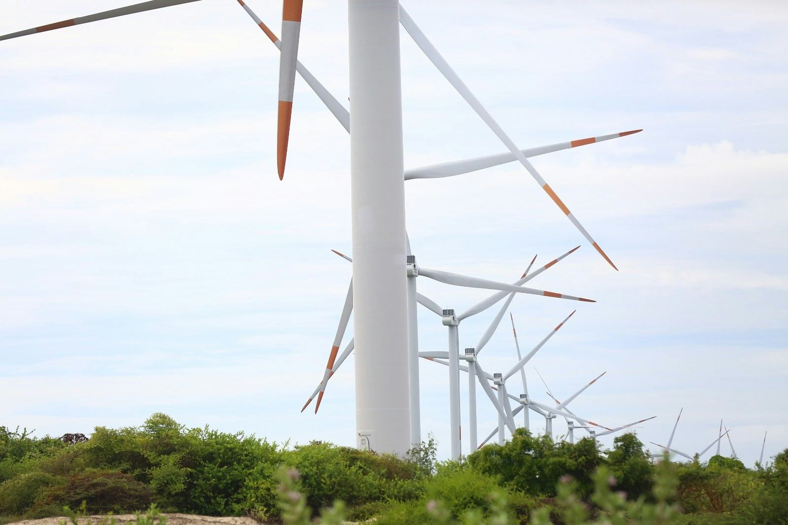 Mannar: Wind turbines and the environment 