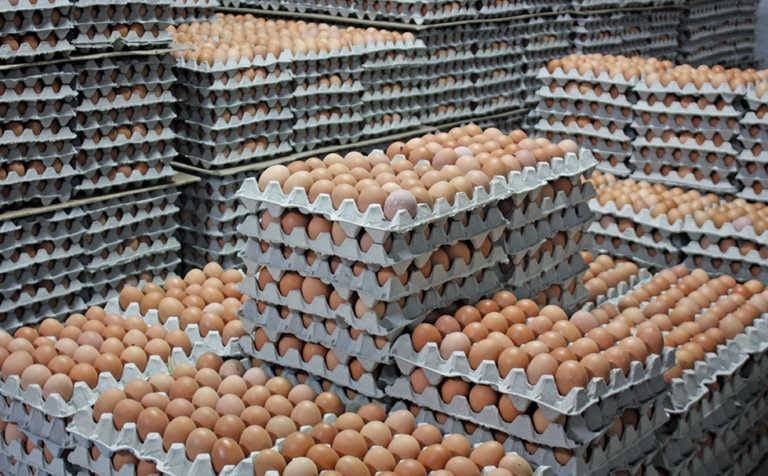 An ethical and sustainable solution to soaring egg prices 