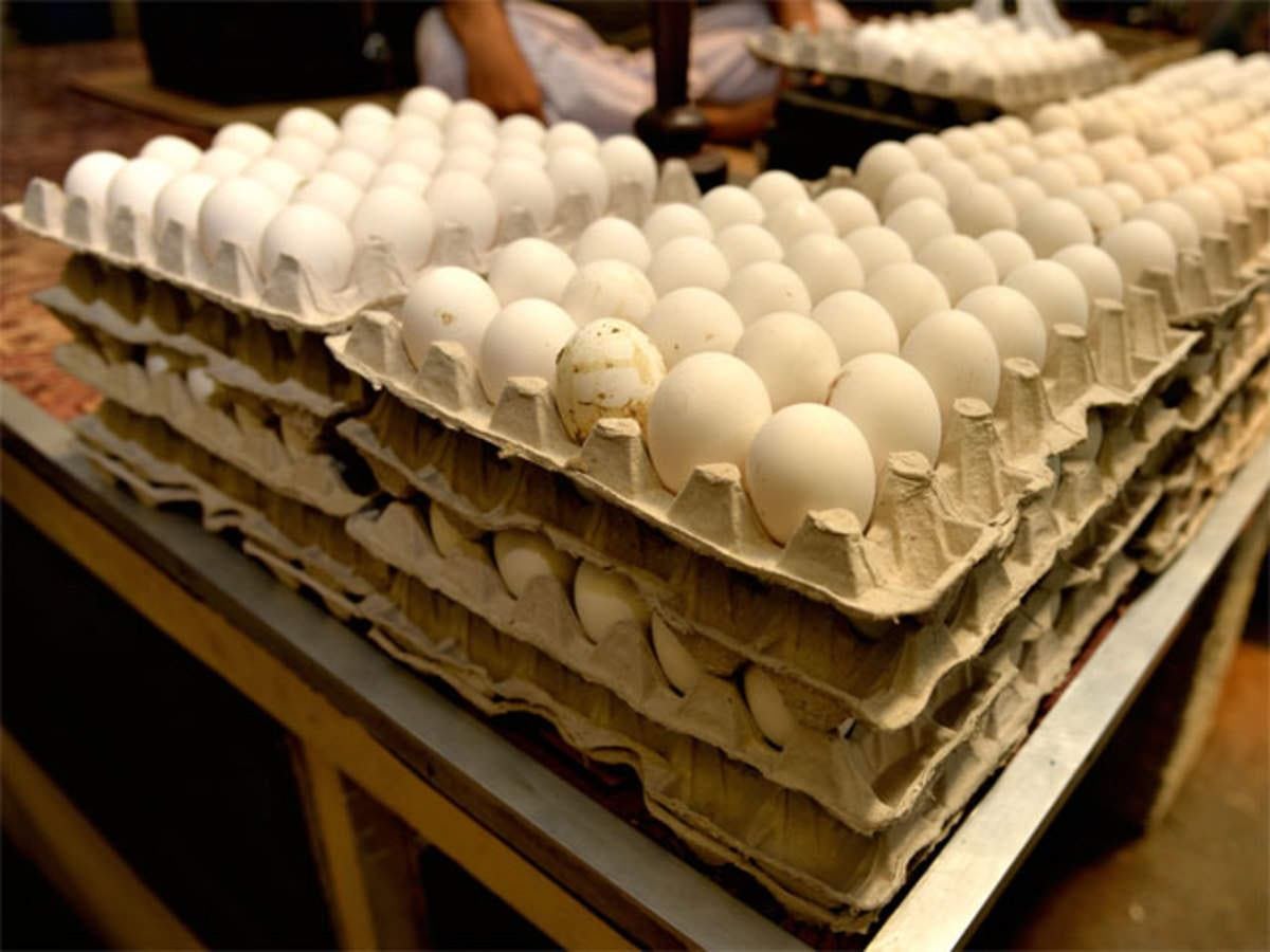 Prez orders report on egg import blockers 