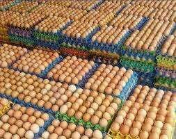 ‘Over 400K eggs   sold at Rs. 55 in   Colombo locales’  