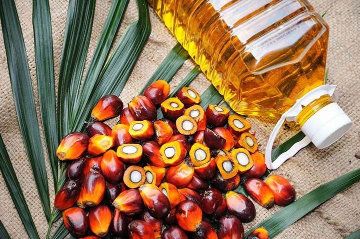 Ministry report to decide fate of palm oil ban