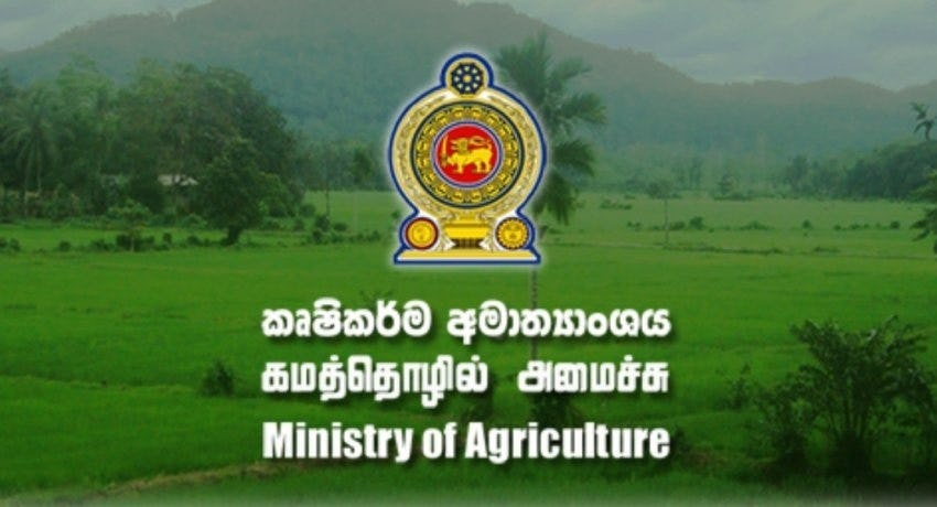 Draft National Agri Policy to Cabinet next month