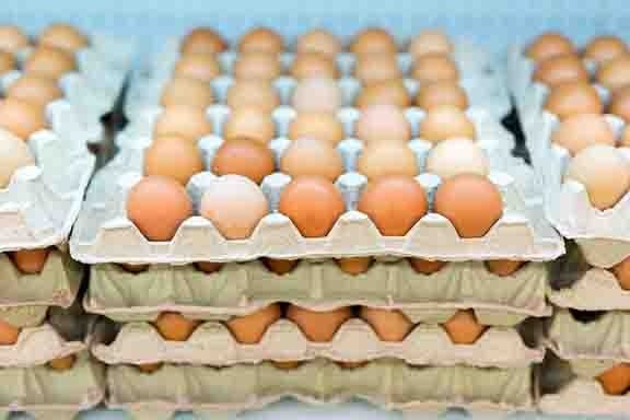 Eggs: Nutritional value and safety