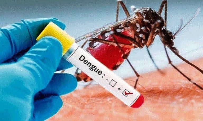 Dengue ‘epidemic’: GMOA urges ‘scientific’ fumigation