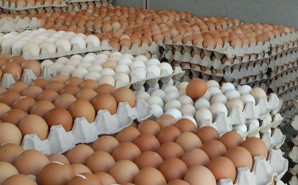 Egg producers   to set market  price at Rs. 55 