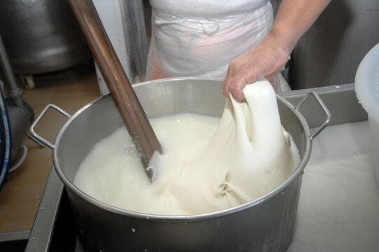 Technical support from Italy requested for mozzarella manufacturing 