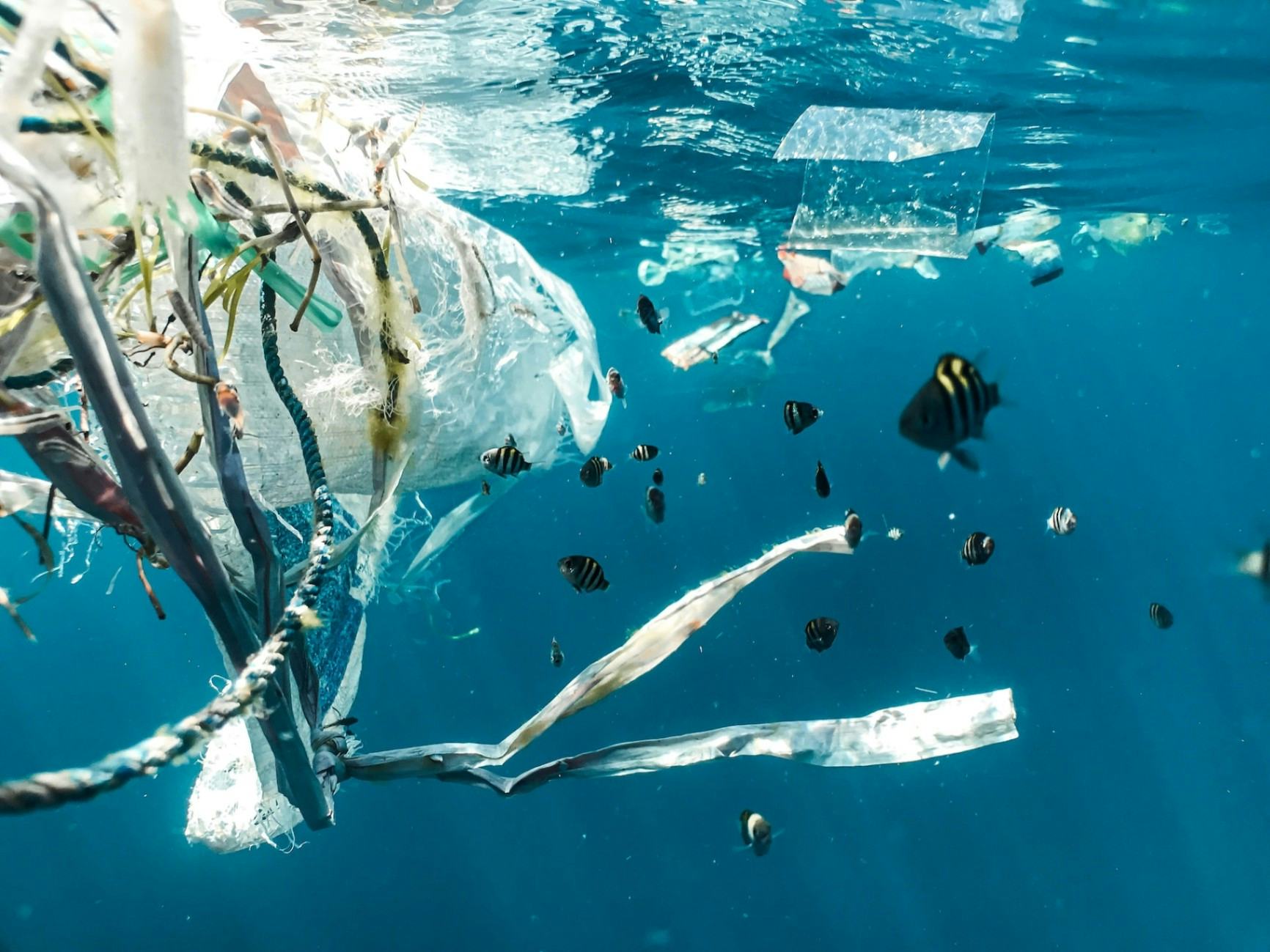 Addressing the global plastic problem