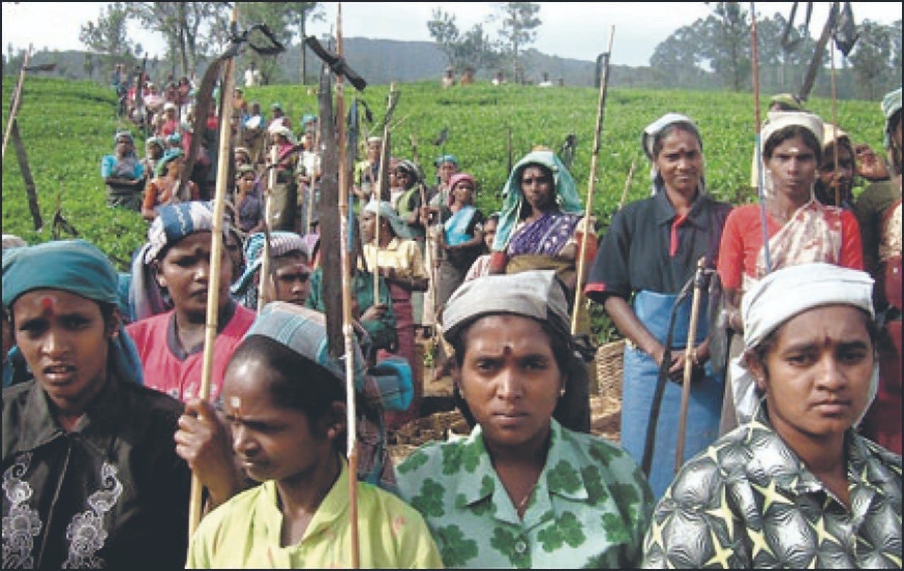 Upcountry Indian Tamils to march from Mannar-Matale
